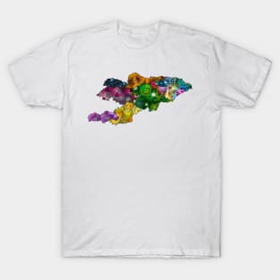 Spirograph Patterned Kyrgyzstan Regions Map T-Shirt